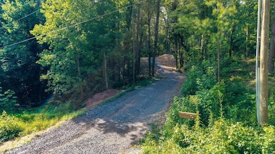 0 Old Lower River Rd NW unit 20253533, Charleston, TN 37310 - photo 2