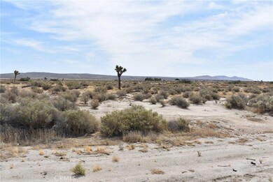 47660 120th St E, Lancaster, CA 93535 - photo 3