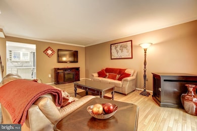 5724 Mason Bluff Dr, Burke, VA 22015 - photo 5