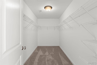 Spacious closet featuring carpet