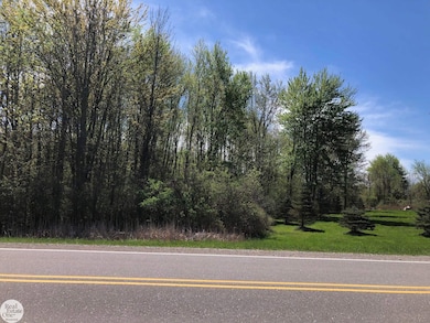 0 Meisner Rd unit 50142718, East China, MI 48054 - photo 7