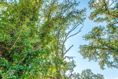 TBD Hott Ln, Weatherford, TX 76088 - photo 4