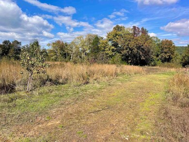 000 Blaty Rd, Lamar, AR 72846 - photo 2