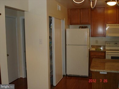 6119 Quiet Pond Ct, Burke, VA 22015 - photo 4