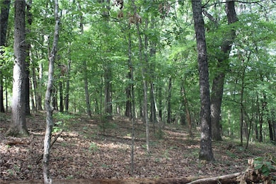 298 E Fox Creek Rd, Flint Creek, OK 74347 - photo 5