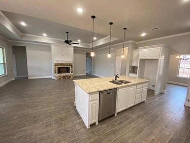 1016 Laramie Rd, Poolville, TX 76487 - photo 3