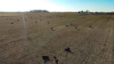 T5_DJI_0032_800x450