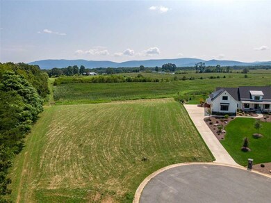 Lot 28 Jacobs Ln, Stuarts Draft, VA 24477 - photo 5
