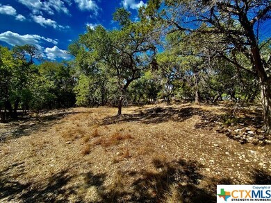 0 Rockwood unit 521855, Wimberley, TX 78676 - photo 5