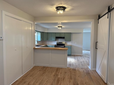 1107 N Lima Rd, Kendallville, IN 46755 - photo 4