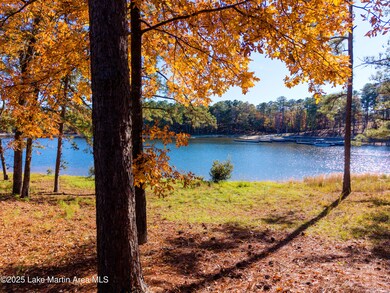 468 Luannes Way, Alexander City, AL 35010 - photo 6