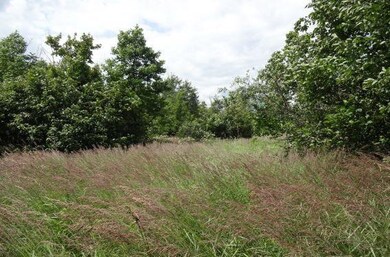 Near State Highway 86, Tomahawk, WI 54487 - photo 4