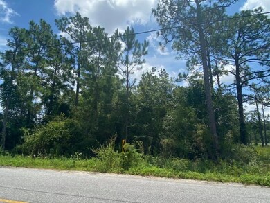 109711781_10217968403342955_286761899199