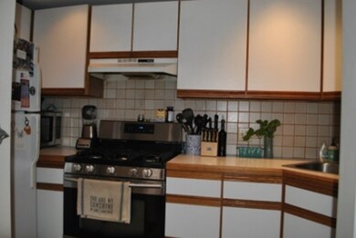 11 Thomas Park unit 1, Boston, MA 02127 - photo 4