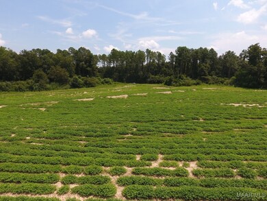 0 Chamblee Rd unit 552298, Kinston, AL 36453 - photo 5