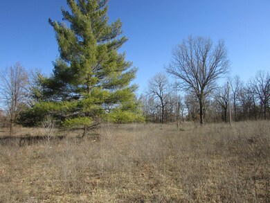 Tract 1-2 Highway Ff, Joplin, MO 64804 - photo 5