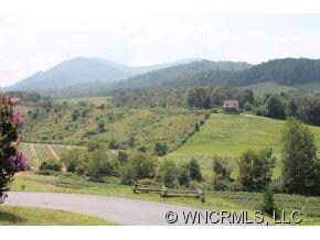 0000 New Morning Place, Leicester, NC 28748 - photo 3