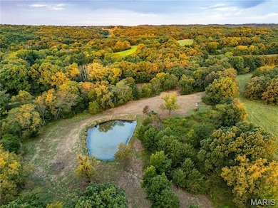 0 Highway D - Tract 1 (77 2+ - Acres), Eolia, MO 63344 - photo 5