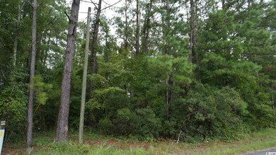 450 Boggy Rd, Conway, SC 29526 - photo 4