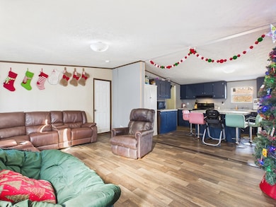 17579 Middle Island Rd, West Union, WV 26456 - photo 5