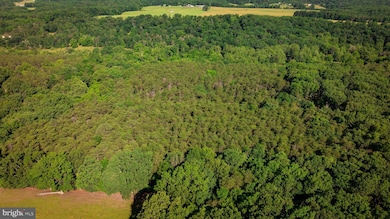 0 14 5 Ac Pcl A- Off Virginia Line Rd, Berkeley Springs, WV 25411 - photo 7