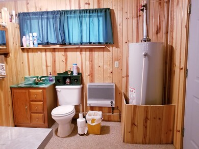 9643 S Beechnut Ave, Baldwin, MI 49304 - photo 6