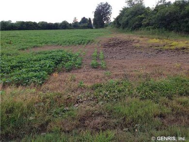 Land/Lot