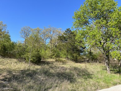 131 Oregon Ln, Ruth B Rural Township, MO 65686 - photo 7