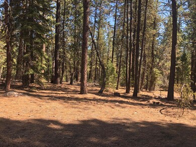 0 Kodiak Ln unit lot 500 220132728, Bonanza, OR 97623 - photo 6