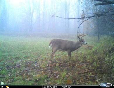 0 Ormsby Rd, Deerbrook, WI 54424 - photo 6