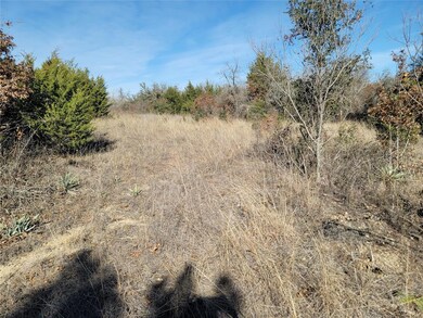 TBD Lot 6 Dill Rd, Weatherford, TX 76085 - photo 3