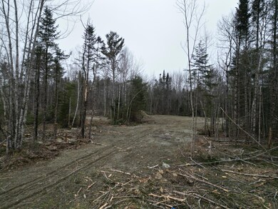 Lot 52.3 Lagrange Rd, Howland, ME 04463 - photo 7