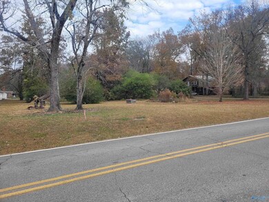 Lot 0 College Ave, New Hope, AL 35760 - photo 6