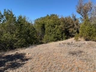 231 Cottongame Dr, Weatherford, TX 76088 - photo 7