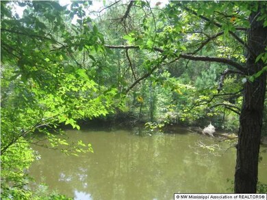 8827 Byhalia Rd unit 178, Olive Branch, MS 38654 - photo 4