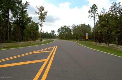 294 Honey Branch Ln, St. Augustine, FL 32092 - photo 4