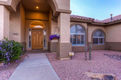 3820 E Forge Ave Mesa AZ 85206-large-004
