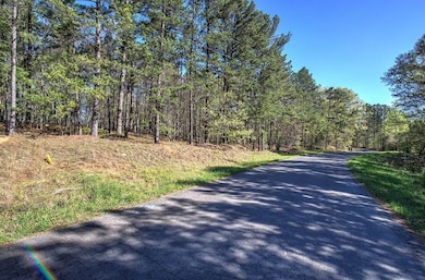 0 Mckibben Rd unit 210, Buchanan, GA 30113 - photo 2