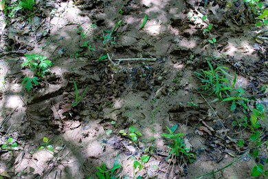 TBD S Highway 61, Vicksburg, MS 39180 - photo 5