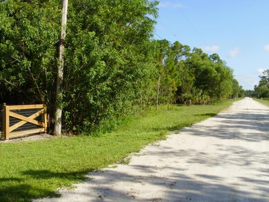 Cabbage Palm Way