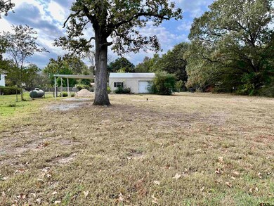 3860 Farm To Market 1801, Mineola, TX 75773 - photo 6