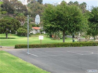 Basketball court