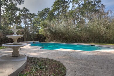 2110 Mccaleb Rd, Montgomery, TX 77316 - photo 5