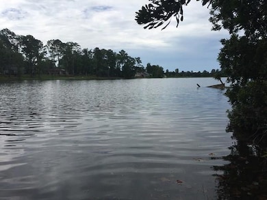 447 Timber Ridge Drive (Lot 5a and 5b) unit 5A5B, Thomasville, GA 31757 - photo 6