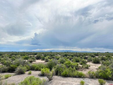 2477 County Road 111 S, Alamosa, CO 81101 - photo 4
