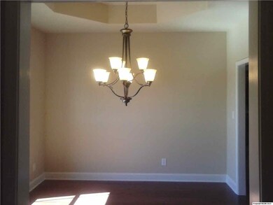 Large Dining Room with Trey Ceiling and Hardwood Floors