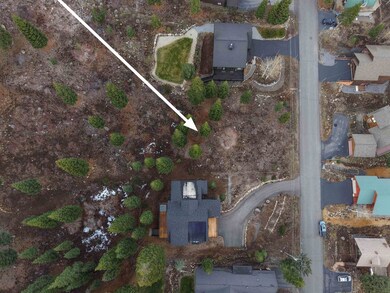 11784 Rhineland Ave, Truckee, CA 96161 - photo 5