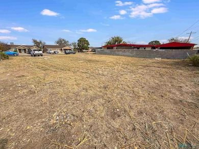 1307 W Princess Jeanne Dr, Hobbs, NM 88240 - photo 2