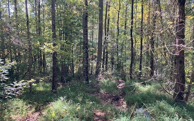 11 Mountain View Trail, Murphy, NC 28906 - photo 4