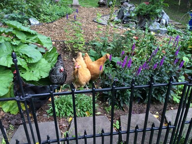 3384 Outta Place, Anchorage, AK 99517 - photo 6